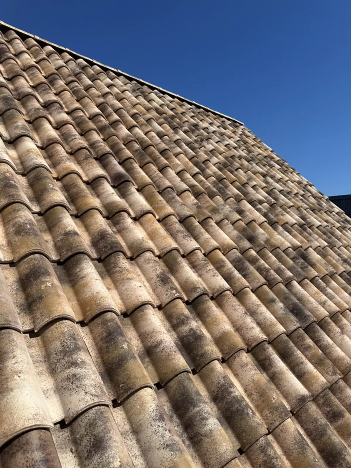 Italienskt taktegel i närbild, handlagda lertegelpannor med naturlig patina mot blå himmel